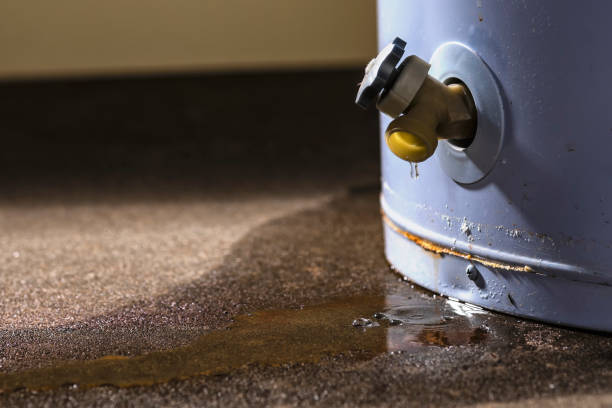 Best Basement water damage restoration  in Guilford Center, CT