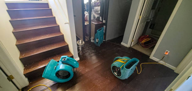 Best Water damage restoration near me  in Guilford Center, CT