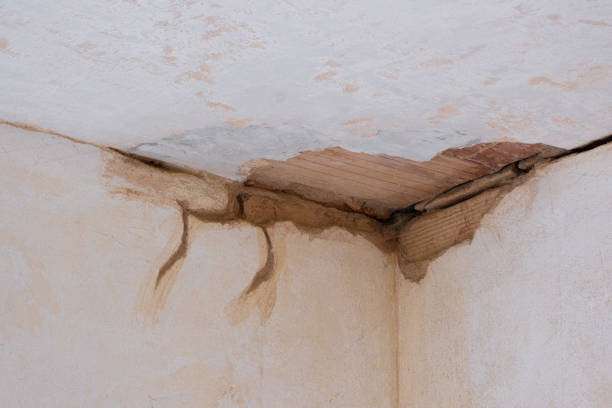 Best Sewage cleanup and water damage restoration  in Guilford Center, CT