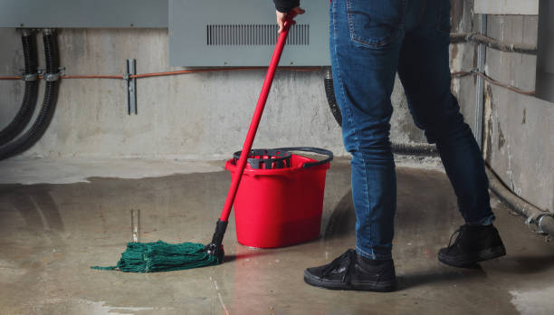 Best Water damage mitigation services  in Guilford Center, CT