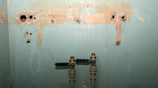 Best Water damage restoration mold remediation  in Guilford Center, CT