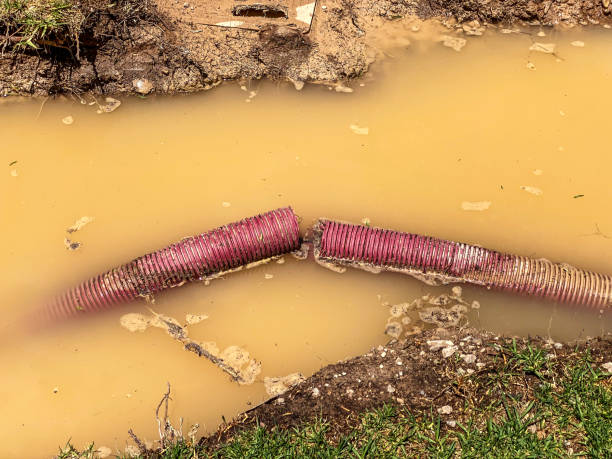 Best 24-hour water damage restoration  in Guilford Center, CT